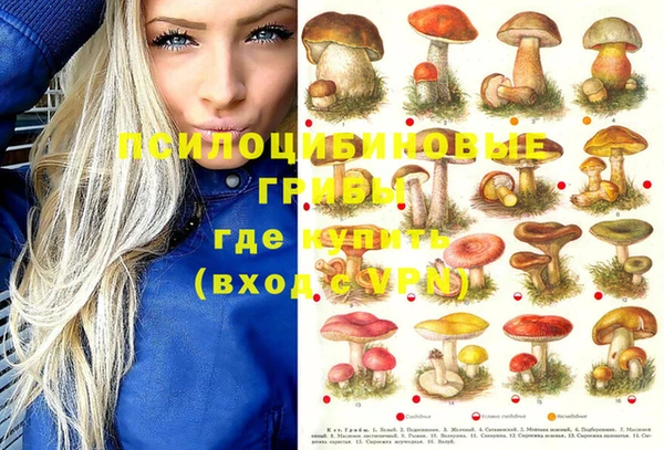 прущие крисы Аркадак